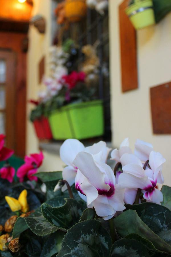 Apartamento Mina House Campi Bisenzio Exterior foto